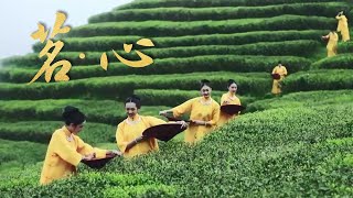 Dance: ‘The Artistry of Tea’ - Fuding White Tea |《非遗里的中国》创新秀演节目《茗·心》--福鼎白茶制作 | CNODDT