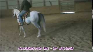 playguns leo six- meyer horse co.qt