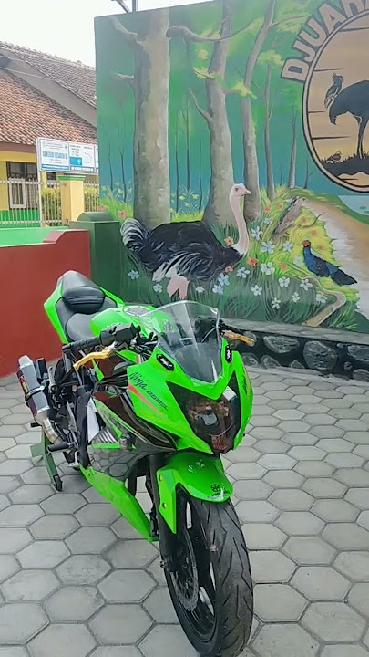 Kawasaki Ninja 250 SL Mono 1 silinder, Cc Besar, Body Ramping #ninja #shorts #kawasakininja