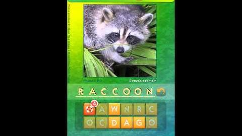 Whats the Pic? Astute Levels 41-50 Answers