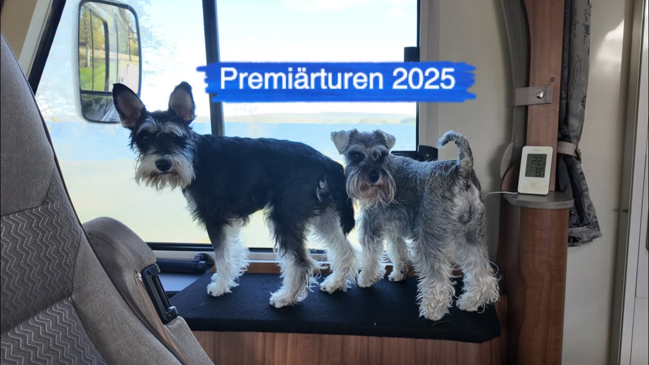 Judiths första resa & tips på guldkorn i Norsjö