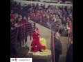 Benny The Bull vs Brooklyn Nets fan