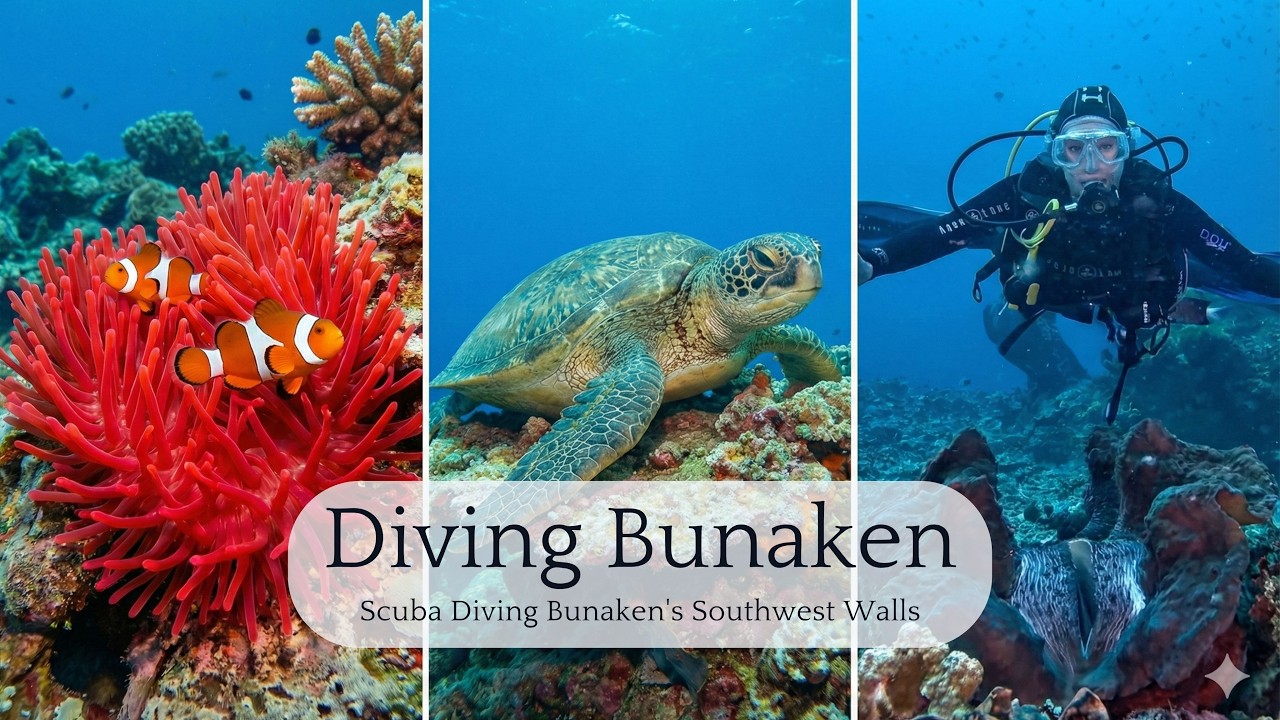 haddy1831 JJB・Bunaken・Baticon 3点 Bunaken Dive Guide: Walls vs. Slopes (Fukui, Mandolin & Alung