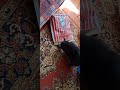 Кеша. Сюрприз в мешке... Kesha. Surprise in the bag...