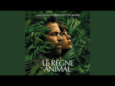 Il Regno Animale