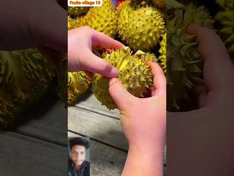 Trending fruits p