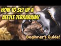 How To Set Up A Beetle Terrarium | Beginner's Guide | Pets