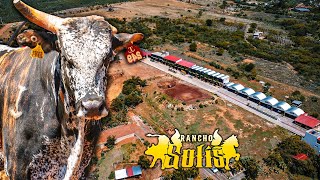 ‼️Una Nueva Ganaderia Surge Para El Jaripeo‼️ 🐂Rancho Solis 🐎De La Dinastía Solis🤠Aqui Su Historia🚛