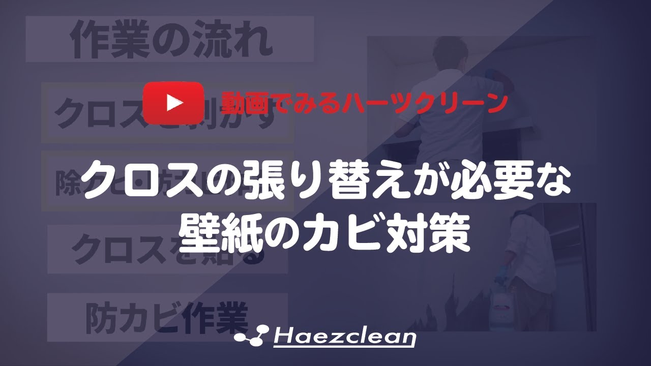 クロスの張り替えが必要な壁紙のカビ対策 Youtube