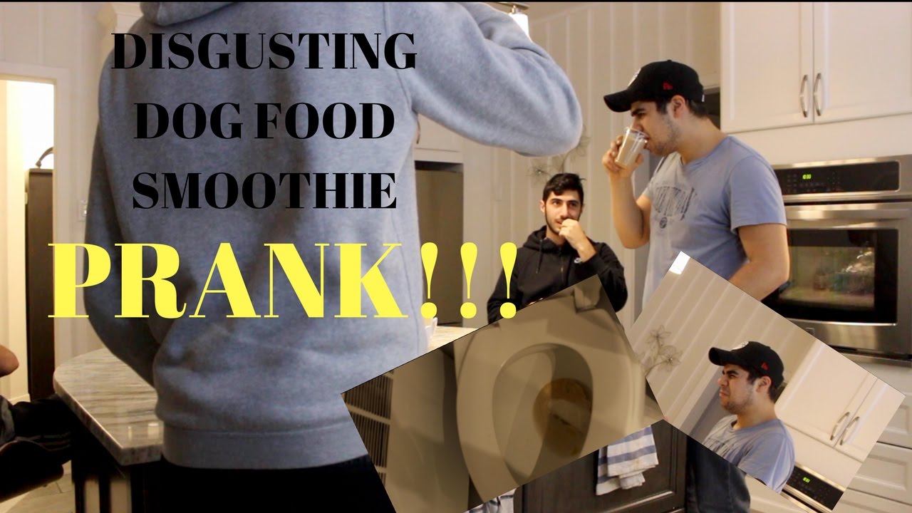 DISGUSTING DOG FOOD SMOOTHIE PRANK ON FRIEND ! (GONE WRONG) YouTube