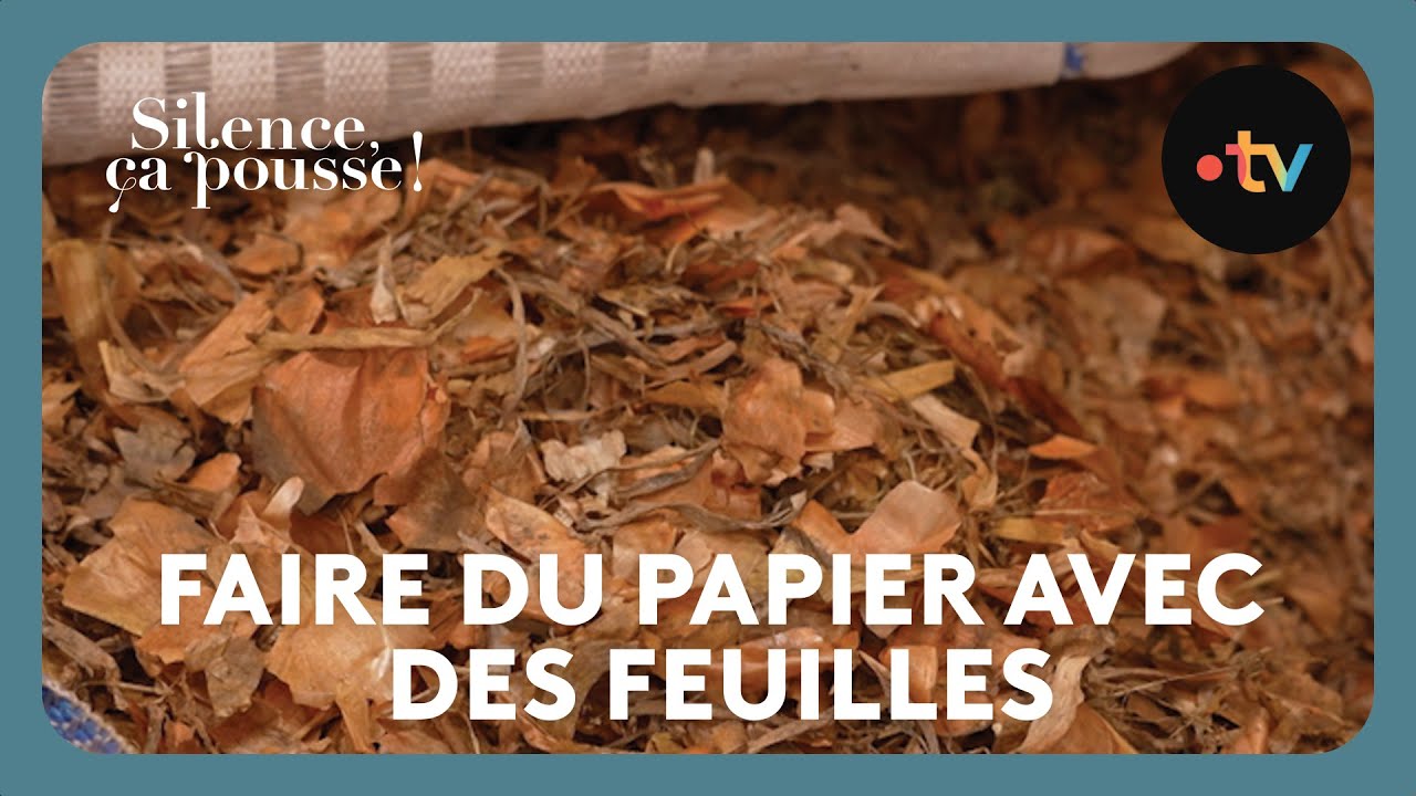 Faire du papier avec des feuilles - Silence ça pousse ! 12 avril 2025