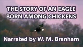 Be EAGLES not CHICKENS👍