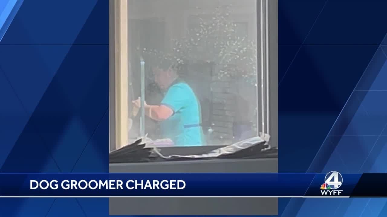 Dog groomer charged in South Carolina after video of her grooming dog