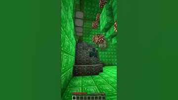 what is inside the emerald block #shorts #minecraft #viral
