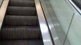Montgomery Single-File Escalators at Dillards Towne West Square, Wichita, Kansas