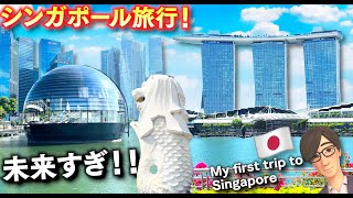 シンガポールの高層ビルに驚愕！シンガポールの未来都市とBLACKPINKライブに感動！10年以上ぶりに海外旅行に行ってみた！海外の物価高くてびっくり😱！【ほぅ】 screenshot 4