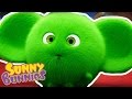 Sunny Bunnies - Halloween Compilation - Funny Videos For Kids