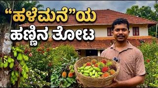 “ಹಳೆ ಮನೆ “ ಹಣ್ಣಿನ ತೋಟ ಮತ್ತು ಮಡ್ ಗೇಮ್ಸ್ -Part-2| Hale mane tour Part -2