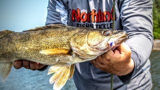 Walleye Lures (Jigs vs Cranks vs Rigs vs Blades)