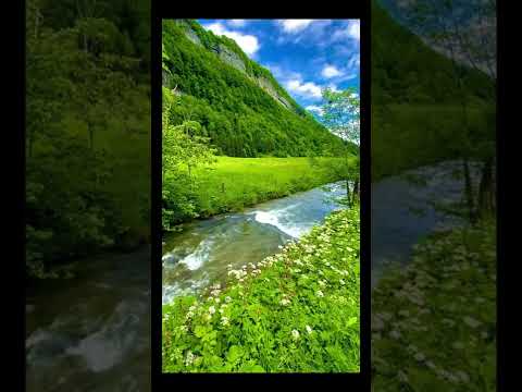 دمي ودموعي وابتسامتي إلياس الرحباني