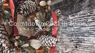 海外旅行 Vlogスペインのエステーリャで2021迎えるオリテ城観光 ノマドフリーランスのヨーロッパ生活