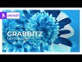 Grabbitz - Let It Bloom [Monstercat Lyric Video]