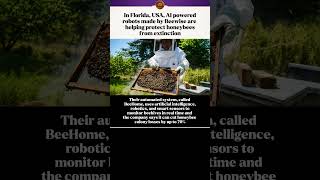 How AI Robots Are Saving Honeybees From Extinction in Florida! 🐝🤖 #Shorts #bee #florida #usa