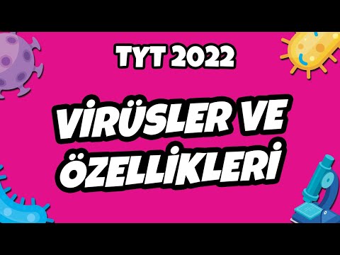 Virüsler ve Özellikleri | TYT Biyoloji 2022 #hedefekoş