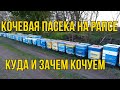 НЮАНСЫ КОЧЕВКИ ПАСЕКИ НА РАПС,ВЫБОР МЕСТА,КОЧЕВАЯ ПАСЕКА,МЕДОСБОР