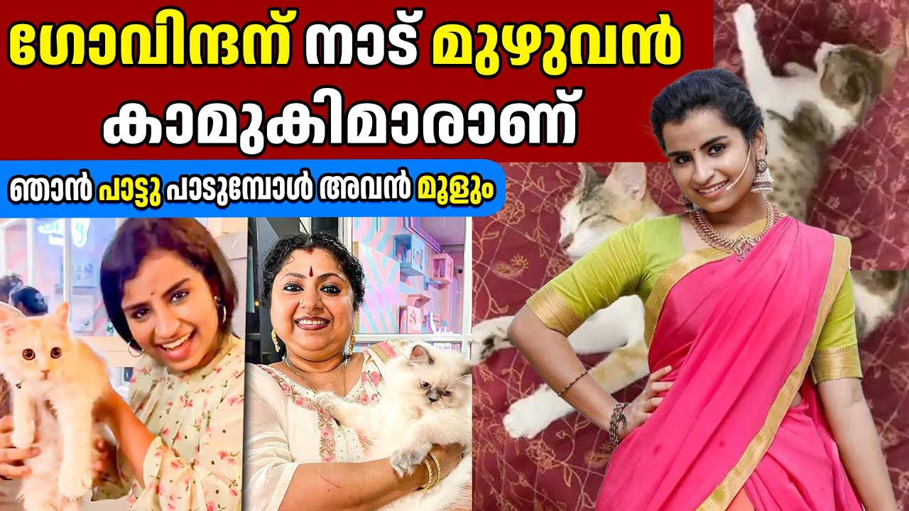 ഗോവിന്ദന് നാട് മുഴുവൻ കാമുകിമാരാണ് SIVAANGI & BINNI KRISHNAKUMAR | GINGER MEDIA CUTS