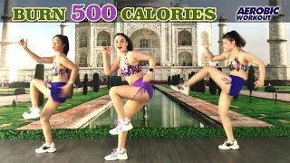 BURN 500 CALORIES with this 45 Minute Aerobic Workout | Lose lower Belly Fat + Lose Arms