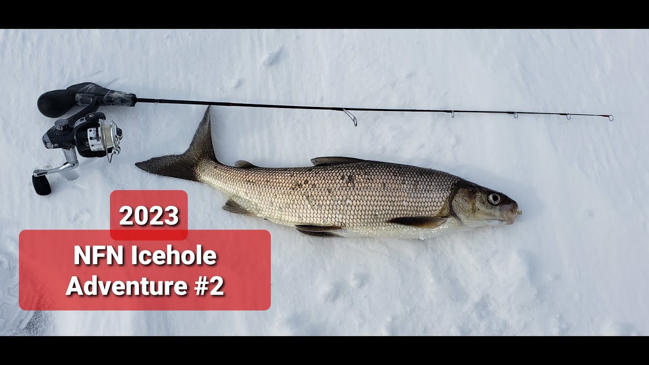 NFN 2023 Icehole Adventure 2 Whitefish and Walleye Grind (Ice Fishing