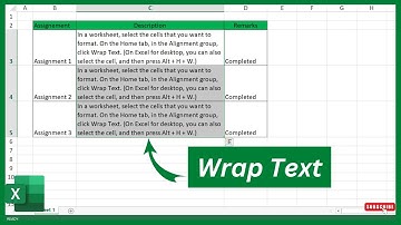 How to Wrap Text in Excel || Wrap Text Function in Excel || Urdu / Hindi
