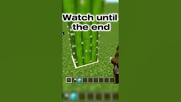 Minecraft logic be like… part 27  #shorts  #minecraft  #youtube