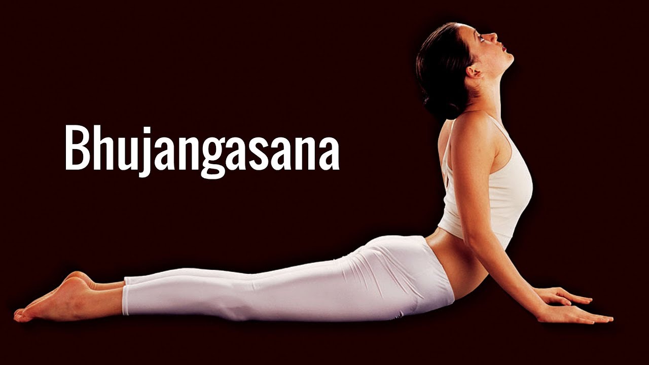 Bhujangasana, Isha Sharvani yoga for beginners app