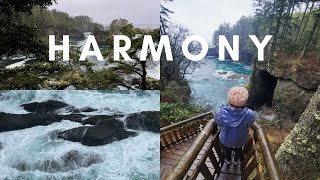 HARMONY