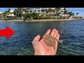 Fishing with SHRIMP in TROPICAL Paradise!! (Loaded)