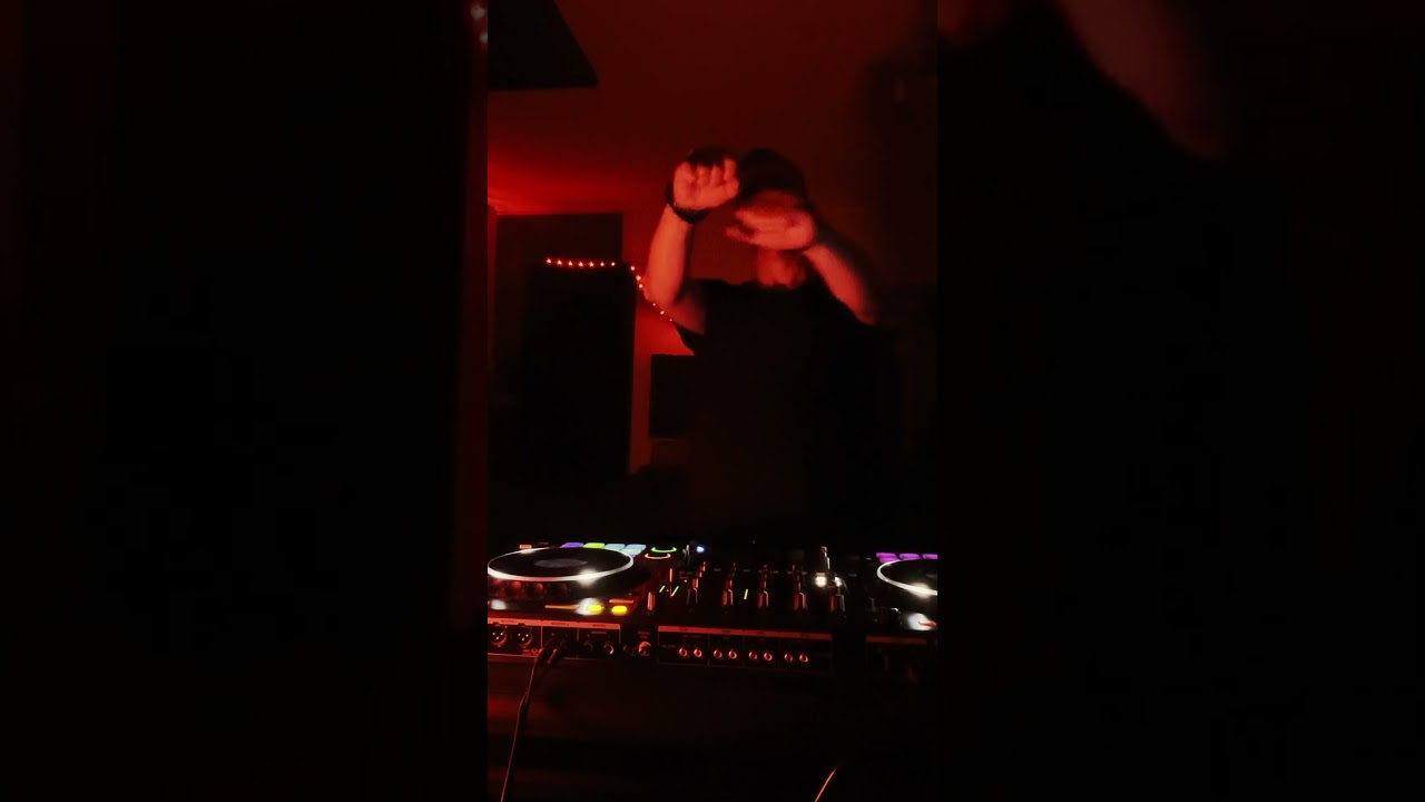 Artemas I Like The Way You Kiss Me (Professor Saibertin Hard Techno Remix) 