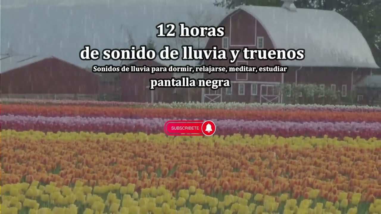 12 horas de lluvia para que te relajes y duermas profundamente PANTALLA NEGRA
