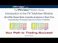 Pitview platform  introduction to the fx totalview window