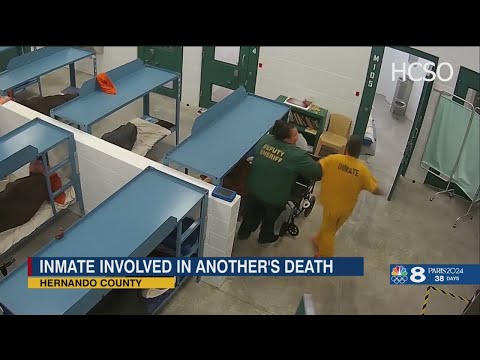 Hernando County Sheriffs Office Arrests