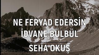 Ne Feryad Edersin Divane Bülbül - Seha Okuş Resimi