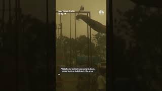 Dust storms and lightning kill at least 96 people in northern India