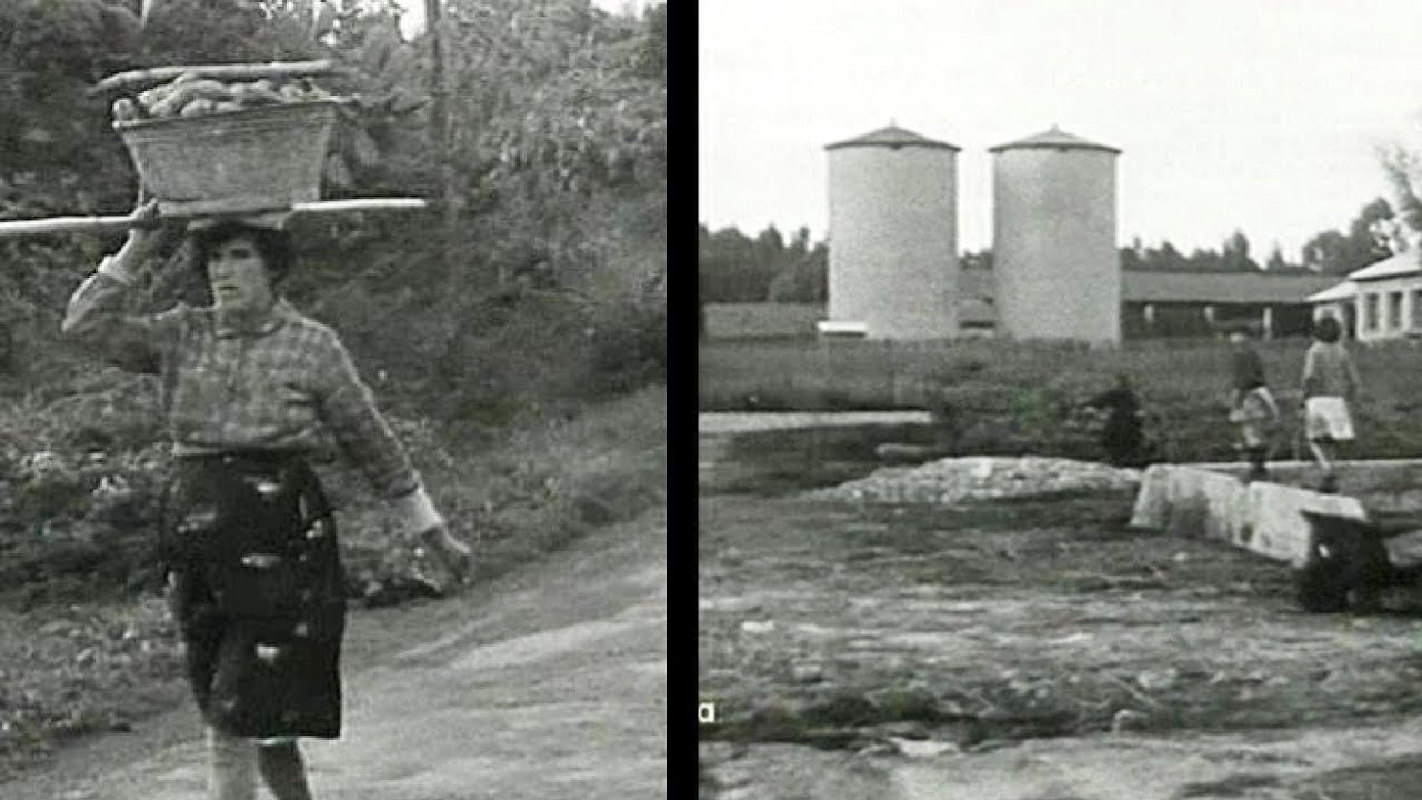 Arborea nel 1963