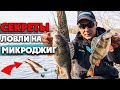 😳 5 Ошибок при ловле на Микроджиг. Как ловить ОКУНЯ на ультралайт!?