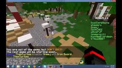 Hacker On Mineplex #3