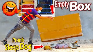 Extremely Big Box vs Prank Sleeping Dog Challenge 2021 - Big Box Prank Come Back - Try Not To Laugh