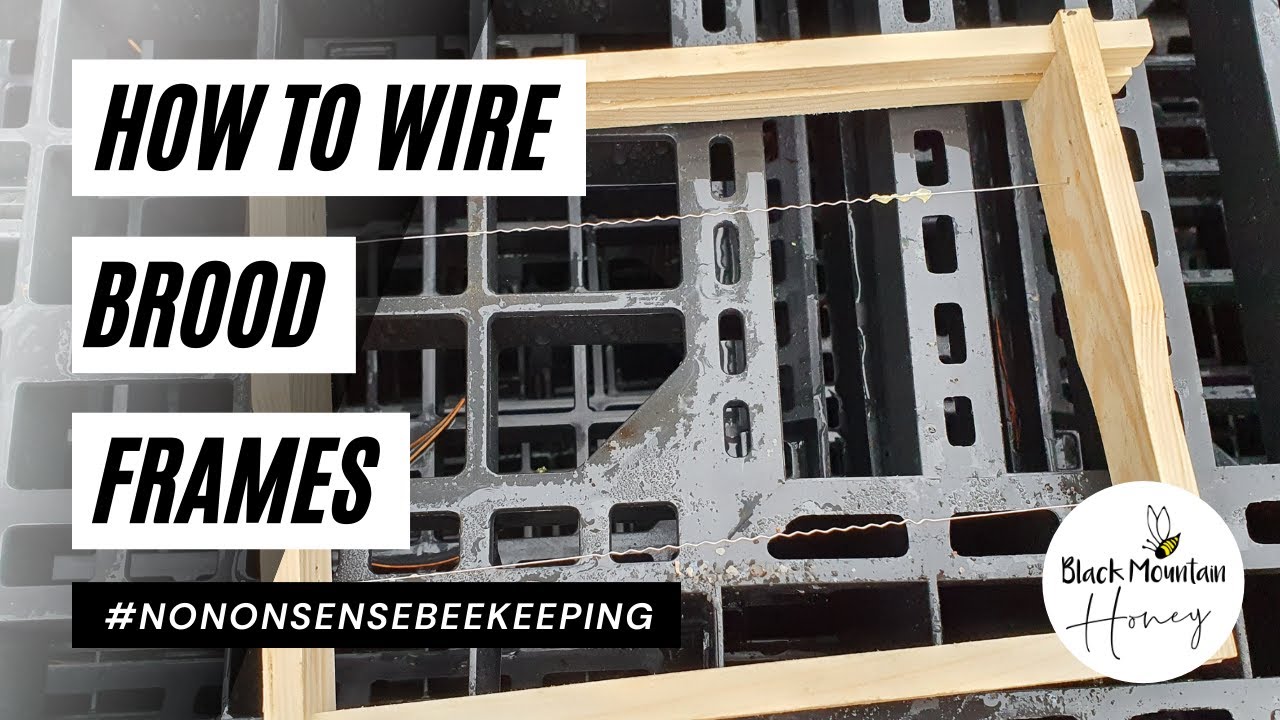How to Wire Brood Frames - YouTube
