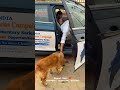 Dogesh Bhai of Itanagar – A Soul to Soul Conversation 🐕✨ #dogshorts