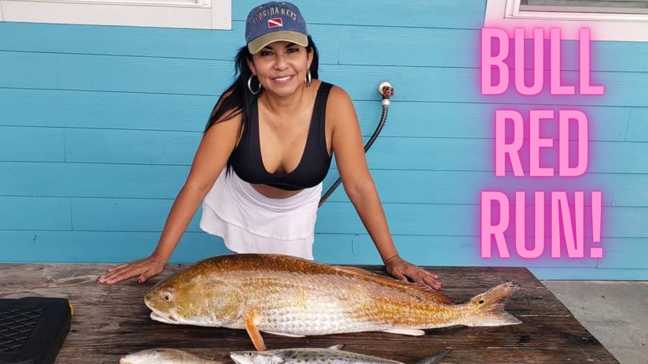 Bull Red Run First Catch!